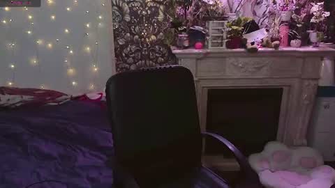 DiBi online show from 20, 7, 2026