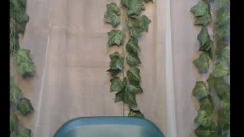 linda online show from 30, 9, 2025