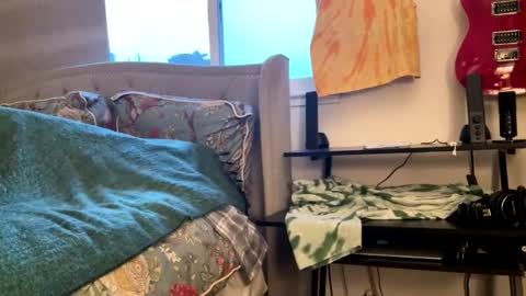 Snapshot of driving_perfectly chatting on 4, 3, 2026 driving_perfectly online show from 4, 3, 2026