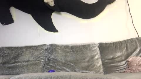 2xTheTrouble online show from 8, 2, 2026