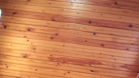 Booored online show from 30, 4, 2026