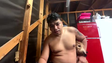 druiz19 online show from 5, 12, 2024