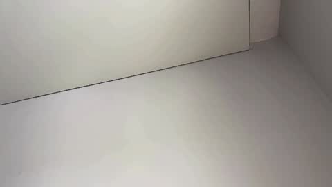 Bella online show from 5, 2, 2025