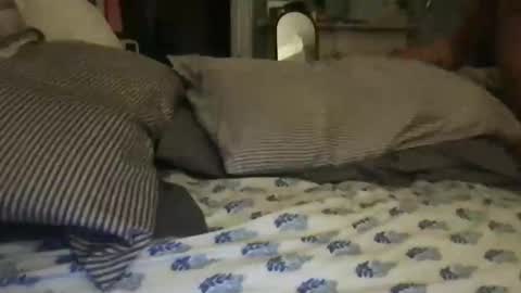 dtficecream online show from 17, 12, 2025