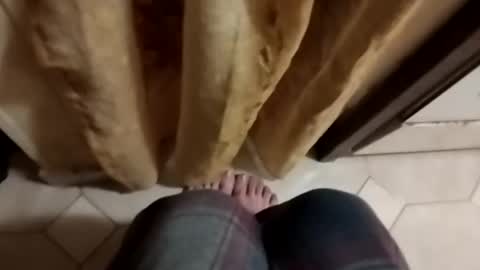 dthedog12 online show from 8, 10, 2025