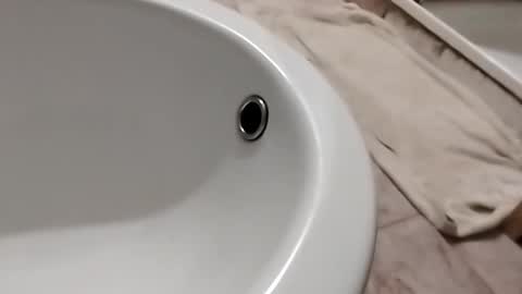 dthedog12 online show from 1, 11, 2025