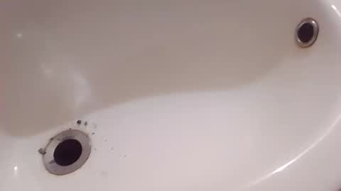 dthedog12 online show from 23, 11, 2025