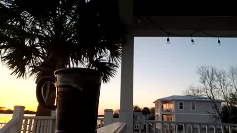 duke_lordly online show from 11, 3, 2025