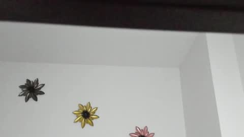 Dulce  online show from 5, 1, 2025