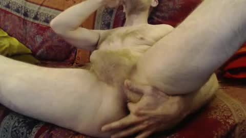 dunant76 online show from 21, 3, 2026