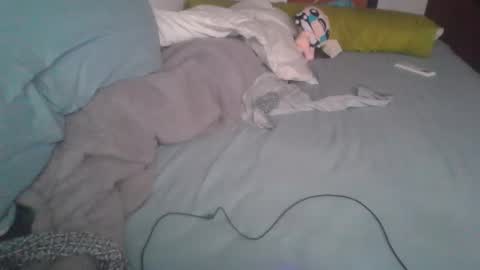 Snapshot of dv3nd3 chatting on 7, 1, 2026 dv3nd3 online show from 7, 1, 2026