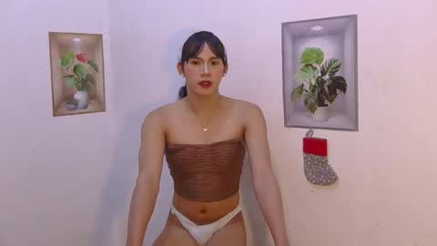 dy_namite online show from 11, 1, 2026