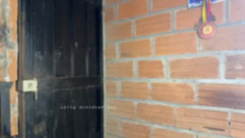 Dylangusss online show from 15, 1, 2026