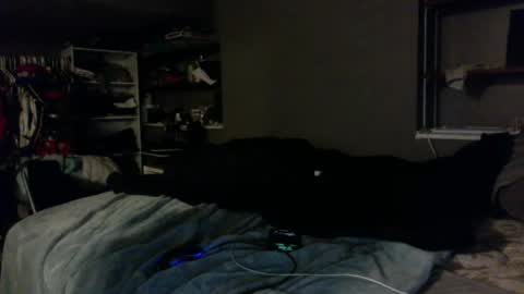 Snapshot of dynasty801 chatting on 23, 10, 2025 nastyboi801 online show from 23, 10, 2025