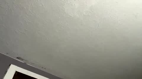 Snapshot of dynasty801 chatting on 27, 11, 2025 nastyboi801 online show from 27, 11, 2025