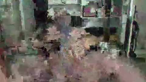 Snapshot of eagleye46 chatting on 9, 12, 2024 eagleye46 online show from 9, 12, 2024