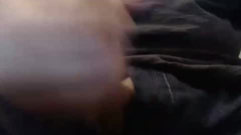 eat_a_peach2 online show from 22, 9, 2025