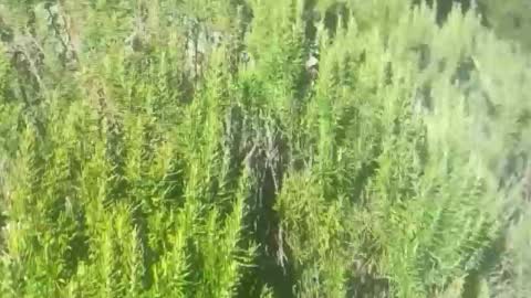 ebnk15 online show from 21, 10, 2025