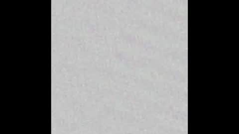 judy online show from 5, 10, 2025