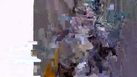 ebonyfire99 online show from 19, 11, 2025