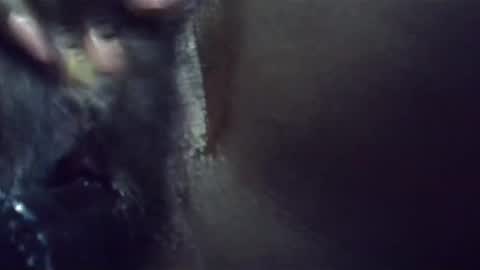 ebonykiki online show from 23, 1, 2025