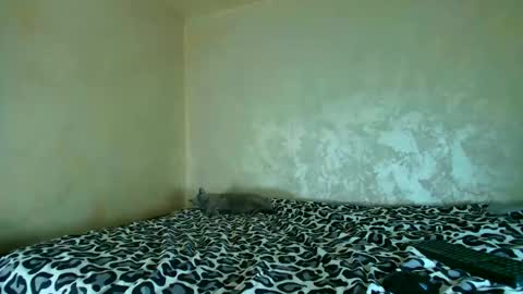 Nomyx  OF check online show from 20, 11, 2025