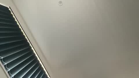 edgemycock4u online show from 8, 2, 2025