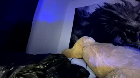 edvmendez1766 online show from 23, 9, 2025