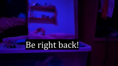 Alex online show from 7, 2, 2026