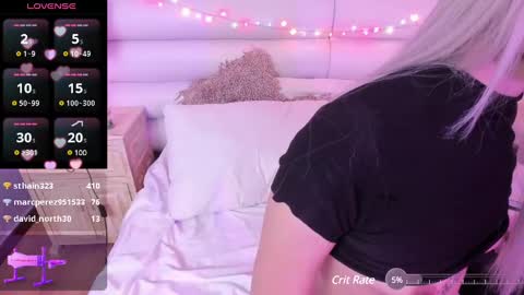    online show from 13, 12, 2024