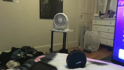 eggnog_and_booty online show from 13, 6, 2026