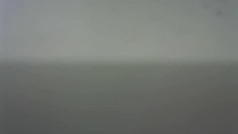 Snapshot of eider122 chatting on 22, 2, 2026 EIder online show from 22, 2, 2026