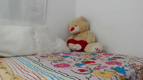 eileenmost online show from 19, 12, 2024