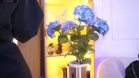 Elasummeer online show from 20, 12, 2025