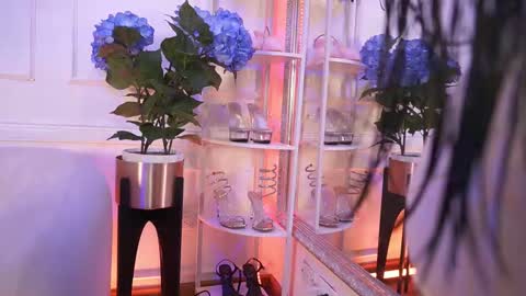 Elasummeer online show from 12, 2, 2026