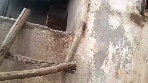 Snapshot of eldie69 chatting on 29, 11, 2025 eldie69 online show from 29, 11, 2025