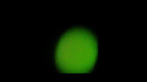 Nando online show from 24, 10, 2025