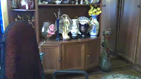 ElenaZed online show from 2, 3, 2025