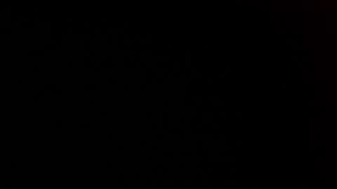 Snapshot of elessar_telcontar chatting on 27, 1, 2025 elessar_telcontar online show from 27, 1, 2025