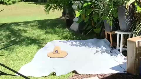 eliberator online show from 21, 9, 2025