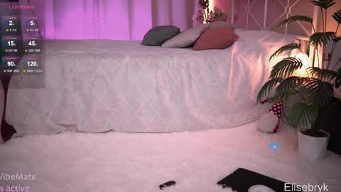 Snapshot of elise_bryk chatting on 27, 11, 2025 hiIm Elise online show from 27, 11, 2025