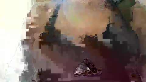 eliterd online show from 25, 10, 2025