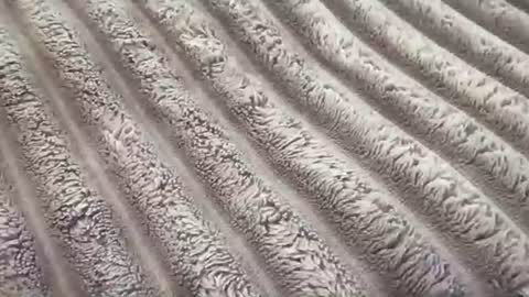 eliterd online show from 29, 11, 2025