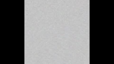 Ellie online show from 2, 11, 2025