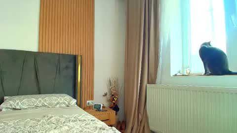 Ely online show from 1, 10, 2025