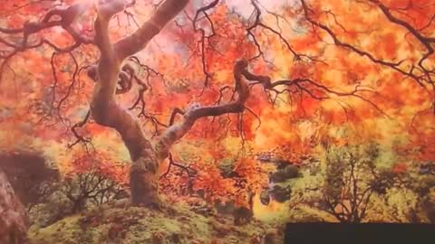 Ember Starleena online show from 29, 9, 2025