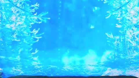 Snapshot of ember_starleena chatting on 19, 1, 2026 Ember Starleena online show from 19, 1, 2026