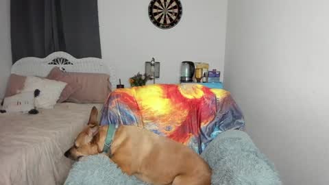 Ember Pheonixxx online show from 17, 1, 2025