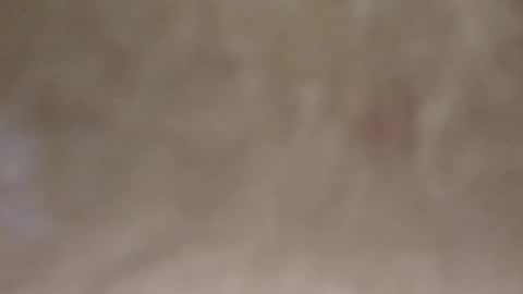 emilmirror online show from 11, 2, 2025