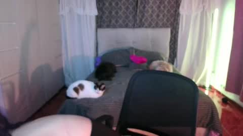 Emily  Swan online show from 26, 4, 2026